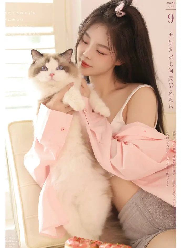 小鸟壁纸热门作品展示